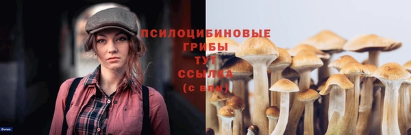 прущий лед Уссурийск