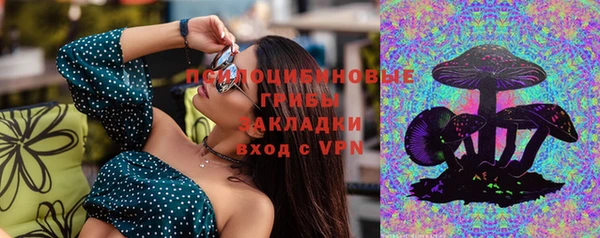 дживик Орехово-Зуево