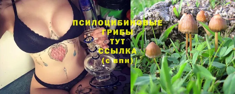 гидра   Арамиль  Псилоцибиновые грибы Magic Shrooms 